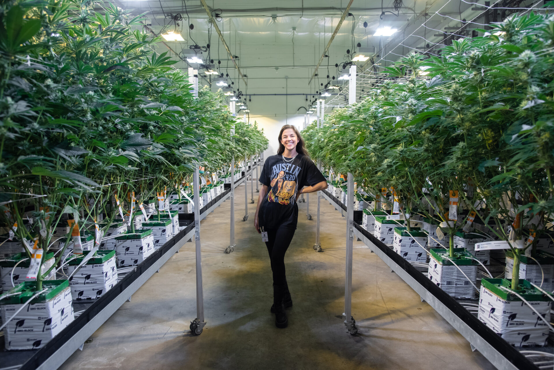 Emerald Janes indoor cannabis grow Tacoma