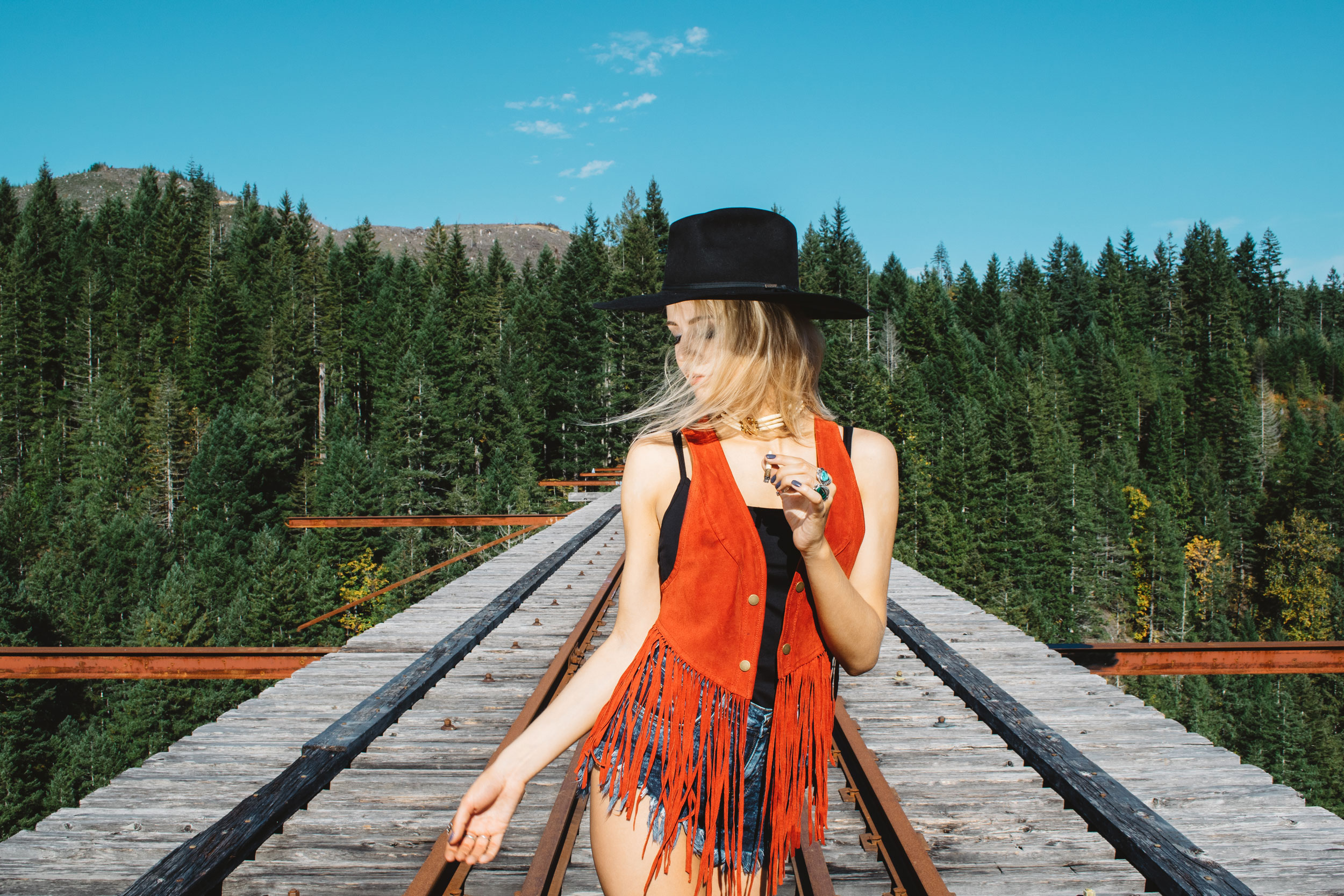 vance creek bridge