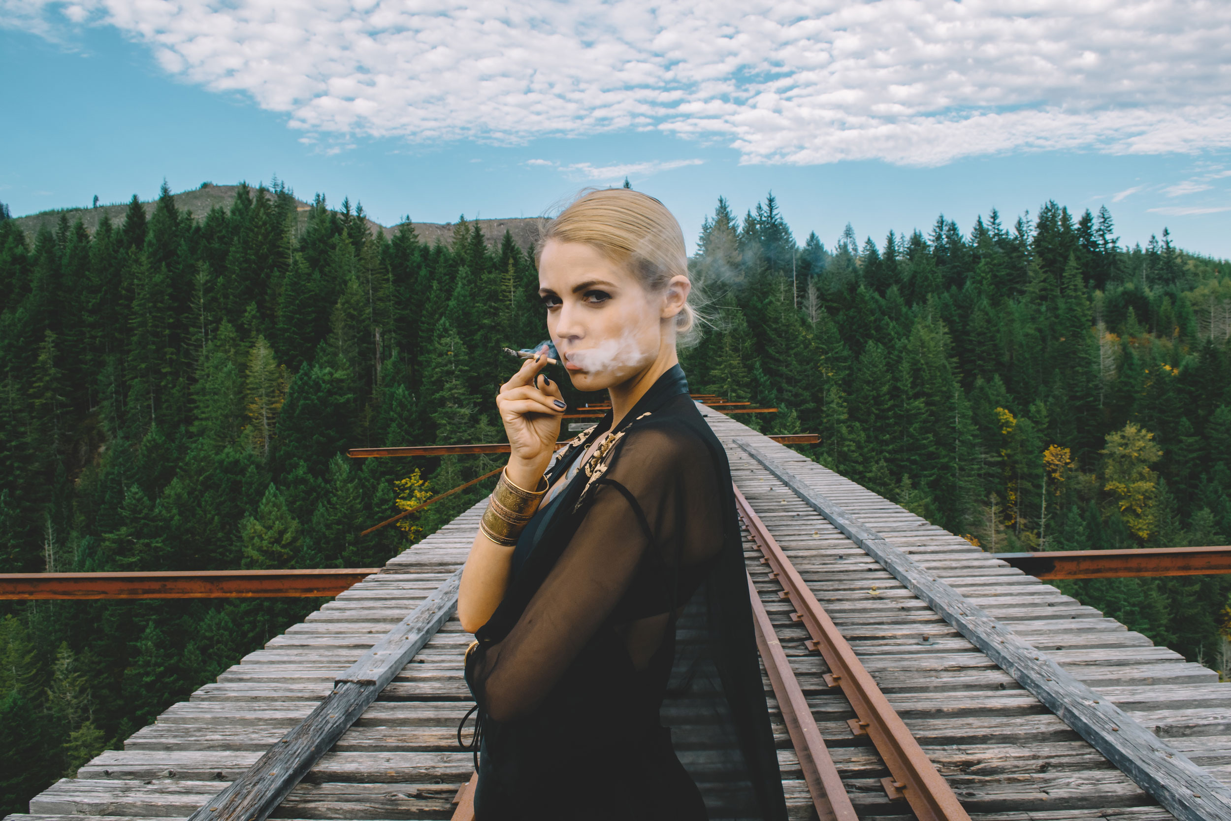 vance creek bridge