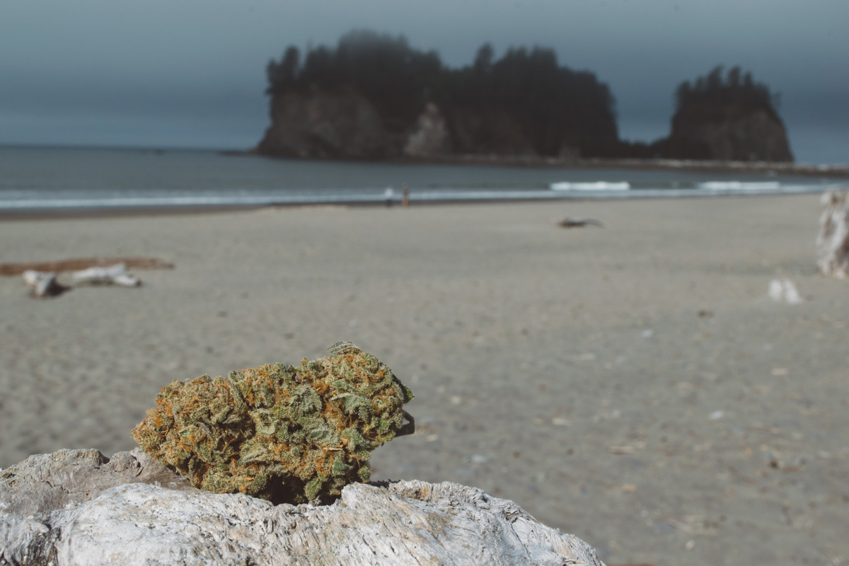 la push