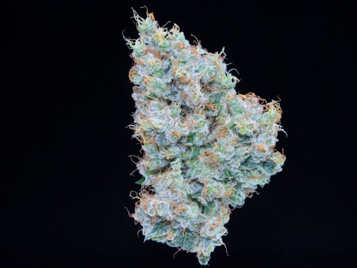 Falcanna orange blossom cannabis photography