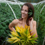 Cannabis weed dress