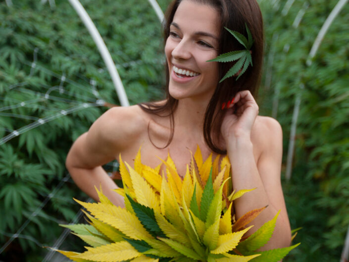 Cannabis weed dress