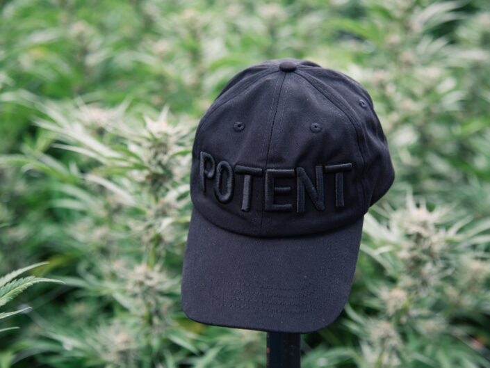 Potent Goods cannabis apparel