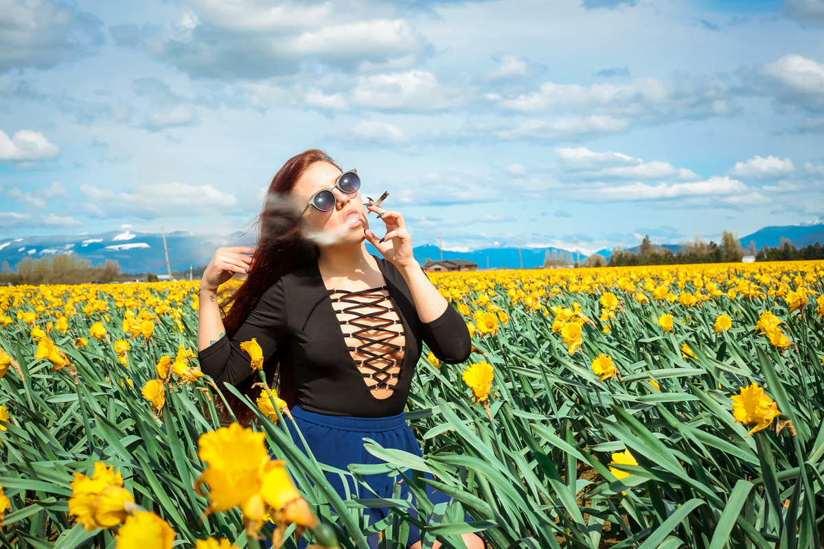 skagit valley tulip fest