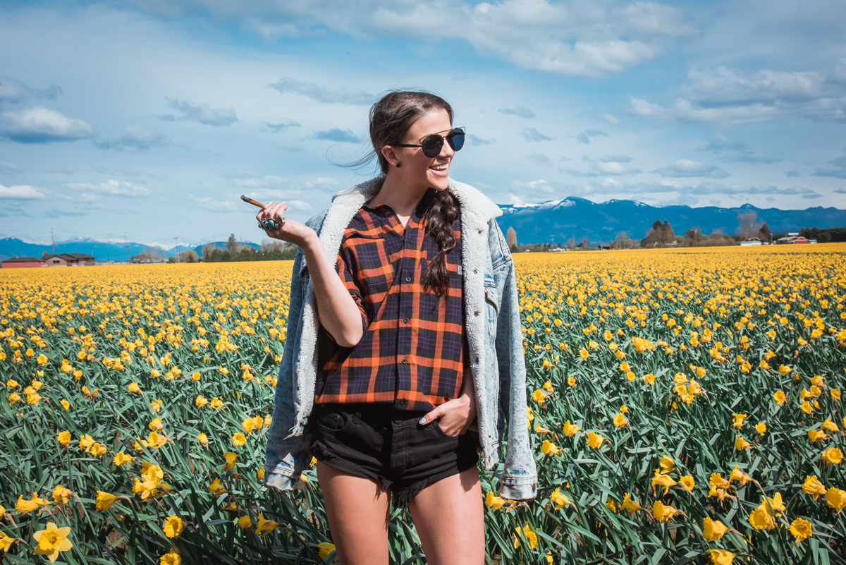 skagit valley tulip fest