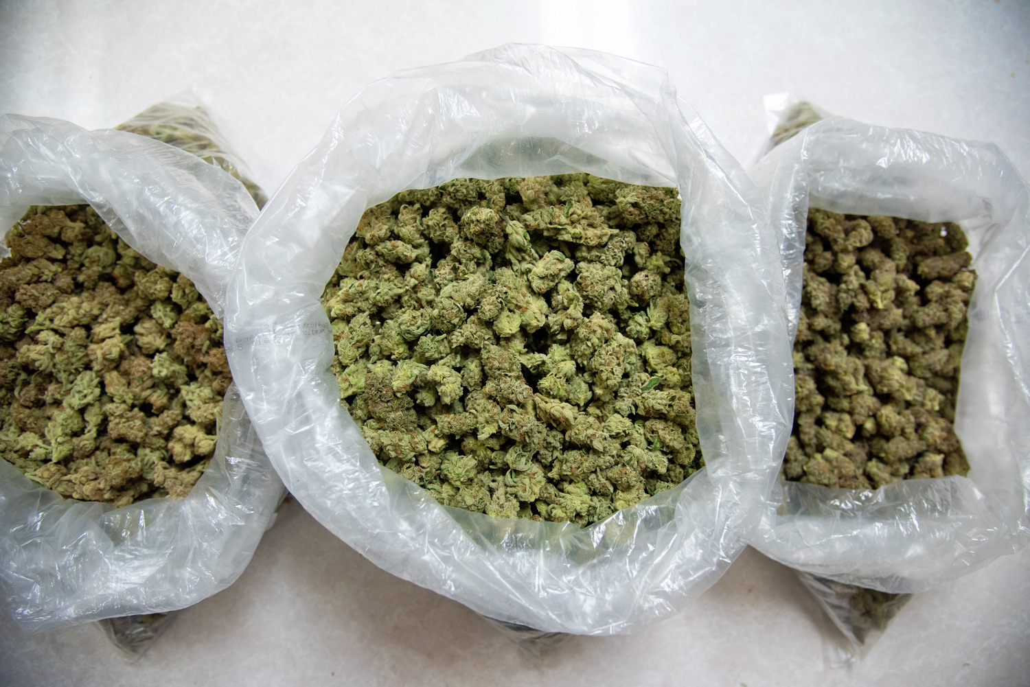 Bags of weed